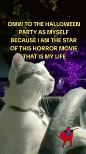a cat is sitting in a car with a caption that says omw to the halloween party