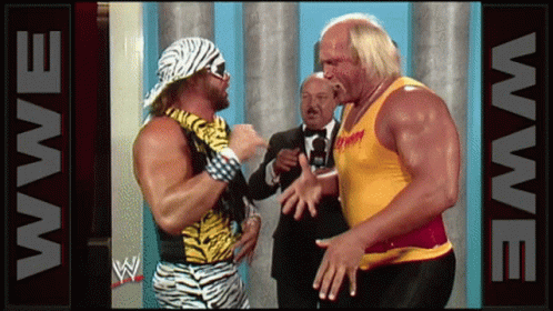 Put It There Brother Macho Man GIF - Put It There Brother Macho Man Hulk Hogan GIFs