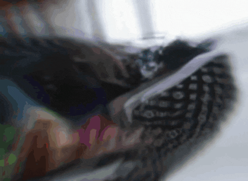 a blurry picture of a person 's feet with the word ' socks ' on the bottom
