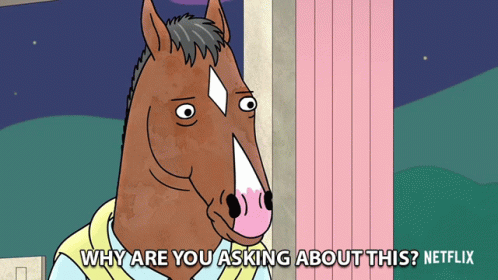 Why Are You Asking Me About This Bojack GIF - Why Are You Asking Me About This Bojack Bojack Horseman GIFs