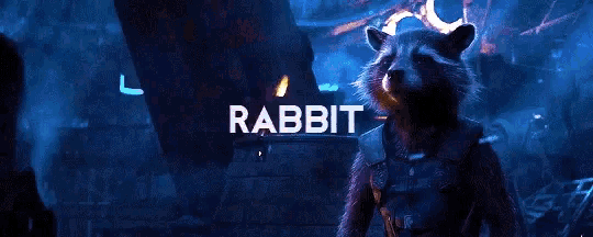 a raccoon is standing in front of a fire and the word rabbit is on the screen