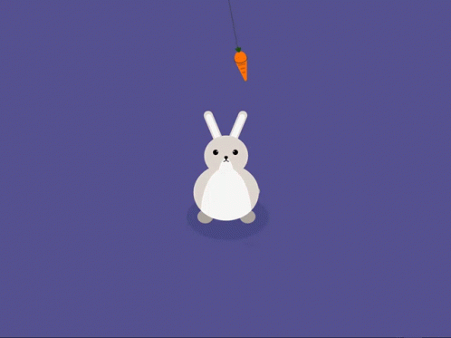 Jumping Rabbit GIF - Jumping Rabbit GIFs