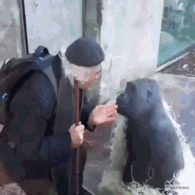 an elderly man with a cane is petting a gorilla .