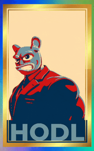 a poster of a bear wearing a mask with the word hodl below it