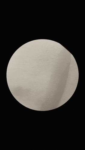 a close up of a cat 's head in a circle on a black background