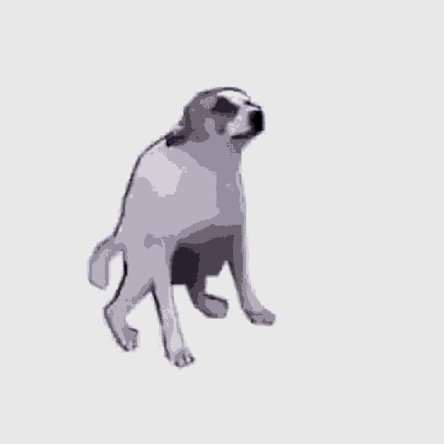 a dog is standing on its hind legs and looking up .