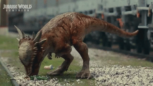 Tiny Dinosaur Pachycephalosaur GIF - Tiny Dinosaur Pachycephalosaur Jurassic World Dominion GIFs