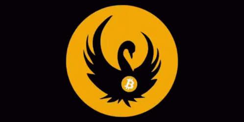 Swan Bitcoin Coinbase GIF - Swan Bitcoin Bitcoin Coinbase GIFs