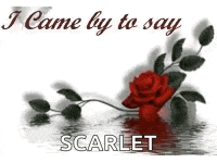 a picture of a red rose with the words `` i came by to say scarlet '' on it .