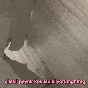 a close up of a wooden surface with the words " çilekli peynir kokusu alyorumghfmg " written in pink