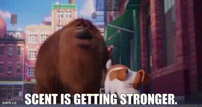 a dog and a bear are standing next to each other in front of a building .