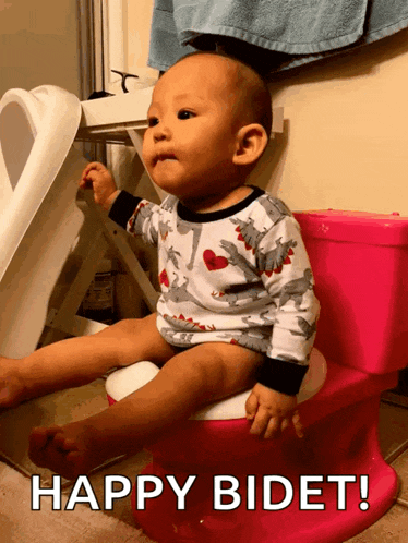 a baby is sitting on a pink toilet with the words happy bidet