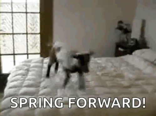 Spring Forward Jump GIF - Spring Forward Jump Excited GIFs
