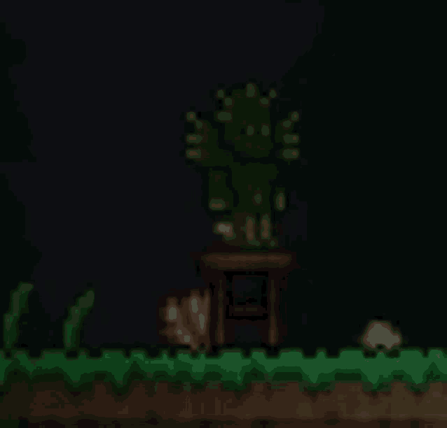 a cactus is sitting on top of a wooden table in a dark room .