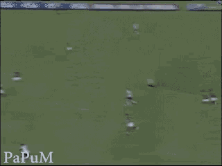 a soccer game is being played in front of a visa ad