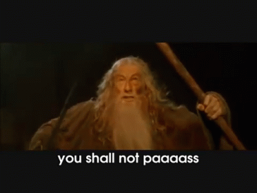 You Shall Not Pass GIF - You Shall Not Pass Gandalf Lotr GIFs