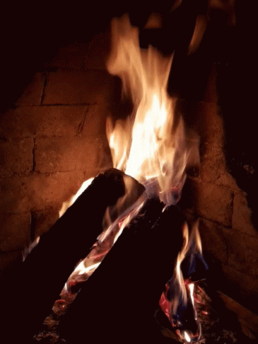 Fire Fireplace GIF - Fire Fireplace Heat GIFs