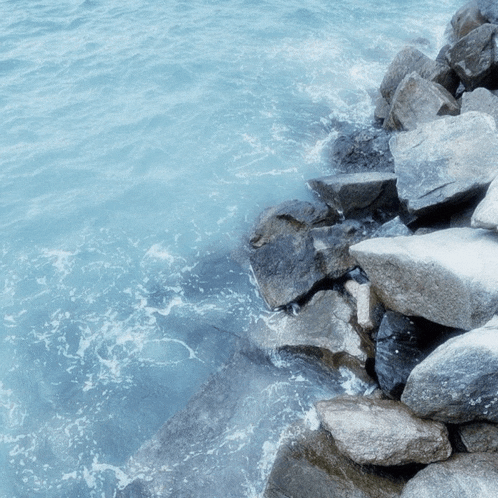 a rocky shoreline of a body of water