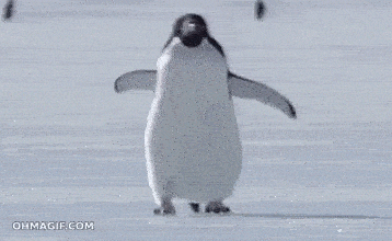 a penguin is walking in the snow with its wings spread .