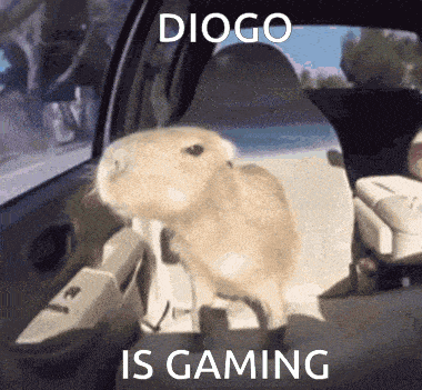a picture of a capybara in a car with diogo is gaming written on the bottom