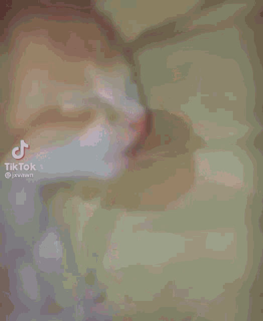 a cat is laying on a bed with a tik tok watermark