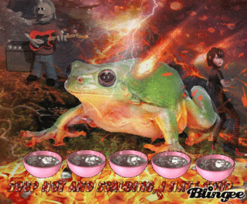 Picmix Frog GIF - Picmix Frog Frogs GIFs