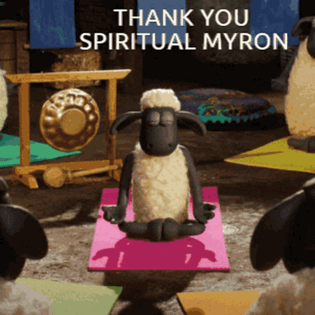 a sheep sits on a pink yoga mat with the words thank you spiritual myron written above it