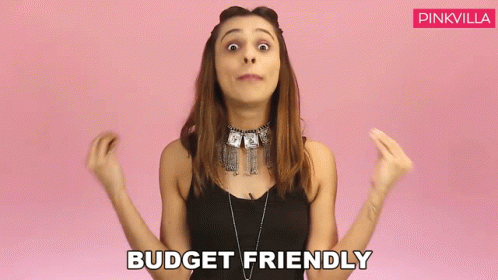 Budget Friendly Hesha Chimah GIF - Budget Friendly Hesha Chimah Pinkvilla GIFs