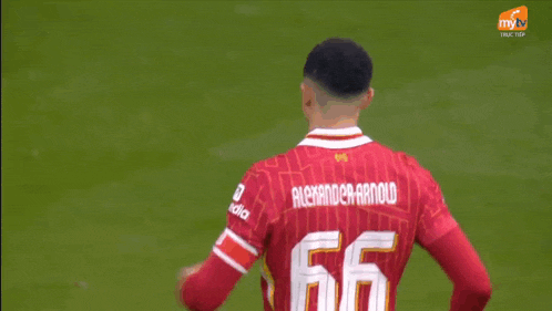 a soccer player named alexander arnold with his arms outstretched
