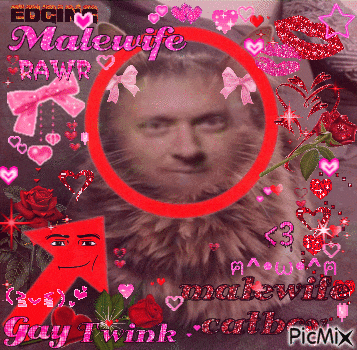 a picture of a man with a cat 's head and the words malewife rawr gay twink
