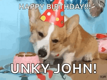 a corgi dog is wearing a party hat and eating a birthday cake .