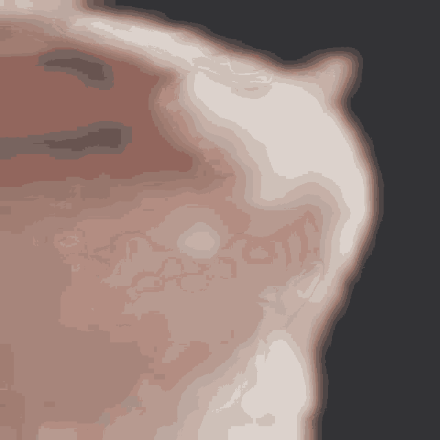a close up of a person 's face with a blurred background