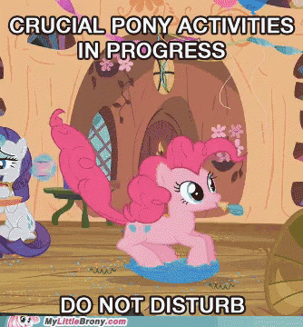 a cartoon of pinkie pie says crucial pony activities in progress do not disturb mylittlebrony.com