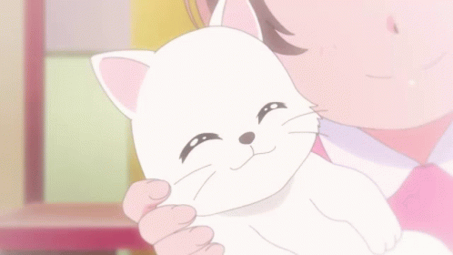 Nagomi Yui Cure Precious GIF - Nagomi Yui Cure Precious Cat GIFs