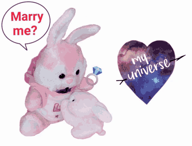 a stuffed bunny with a diamond ring and a heart that says marry me