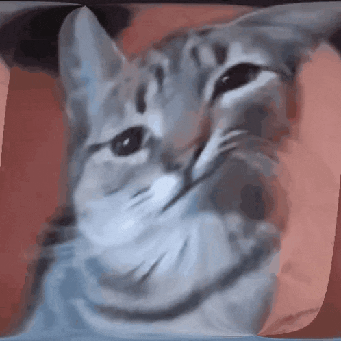 a close up of a cat looking at the camera