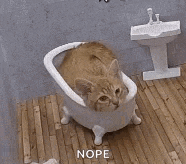 a cat is sitting in a bathtub in a bathroom with the word nope below it .
