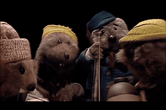 a group of stuffed animals are playing instruments including a guitar and a violin