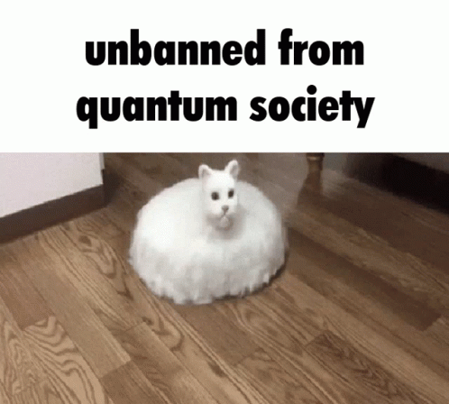 Quantum Society Unbanned GIF - Quantum Society Unbanned Unbanned From Quantum Society GIFs