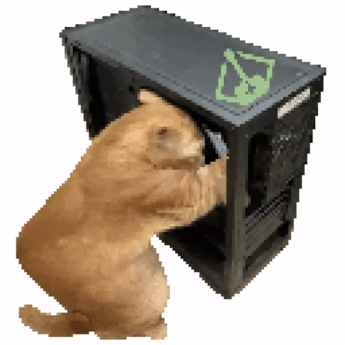 a pixel art of a cat playing with a computer