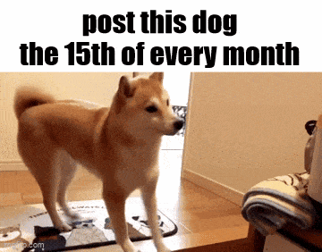 a picture of a dog with the words post this dog the 15th of every month below it