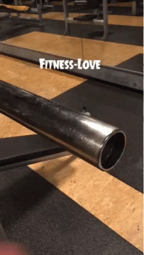 Fitness Love GIF - Fitness Love Funny GIFs