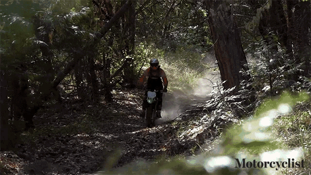 Riding Im Here GIF - Riding Im Here Off Road GIFs