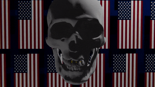 a skull with gold teeth stands in front of an american flag background