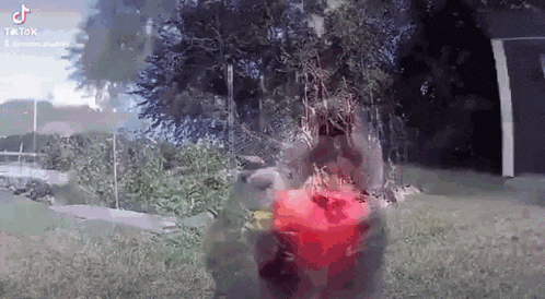 a squirrel is standing in the grass holding a red ball .