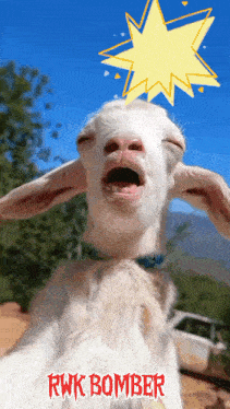 a picture of a goat with rwk bomber written on the bottom