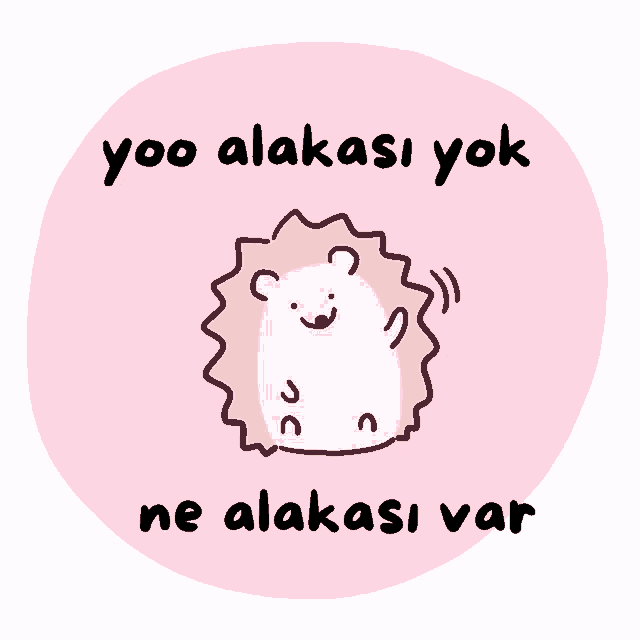a pink circle with a hedgehog and the words yoo alakasi yok ne alakasi var on it