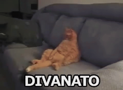 Divanato Relax Ozio Nullafacente Gatto GIF - Relax Couch Cat GIFs