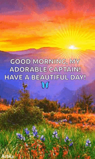 a picture of a sunset with the words " good morning my adorable captain ! have a beautiful day "