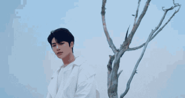 a young man in a white shirt is standing next to a tree